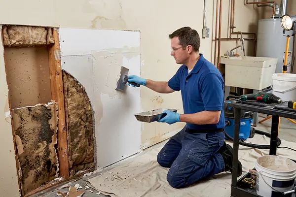 Mold and Drywall Repair Indio