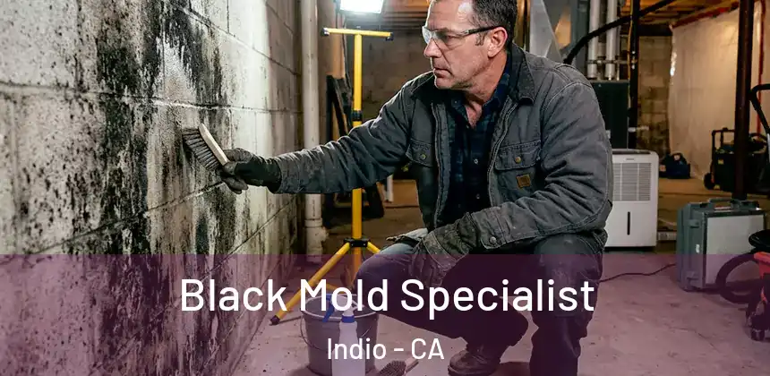 Black Mold Specialist Indio - CA