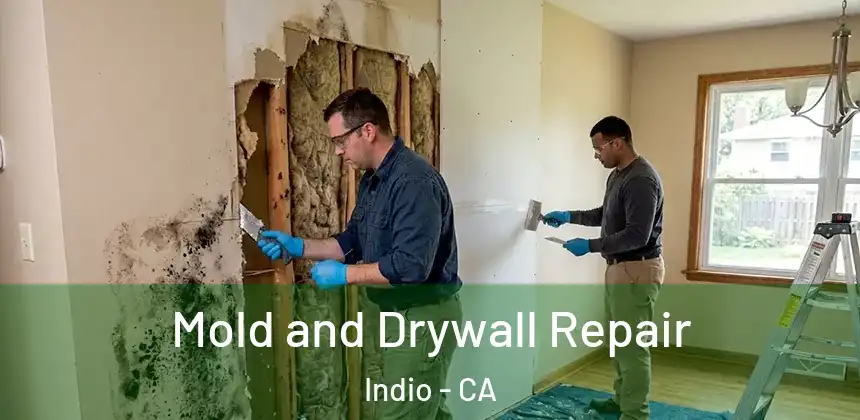 Mold and Drywall Repair Indio - CA