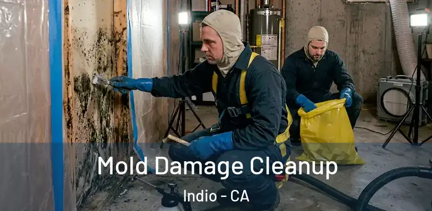 Mold Damage Cleanup Indio - CA