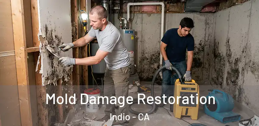 Mold Damage Restoration Indio - CA