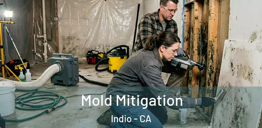 Mold Mitigation Indio - CA