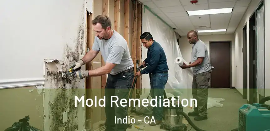 Mold Remediation Indio - CA