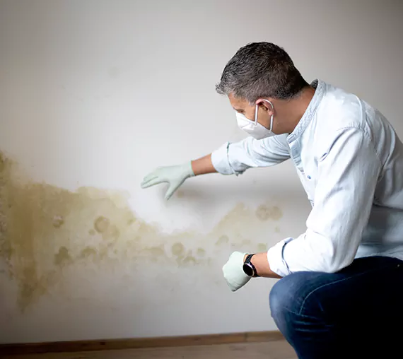 Mold Removal Service in Indio, CA