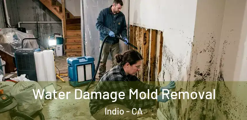 Water Damage Mold Removal Indio - CA